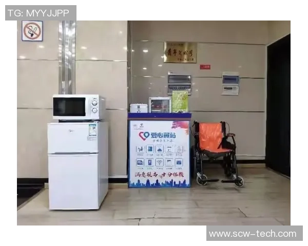 北京羽毛球队包夹战术创新引领新潮流的深度剖析与展望