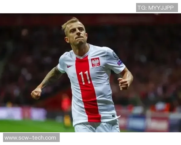 波兰足球明星身价排行榜揭晓谁是最贵球员及其背后故事